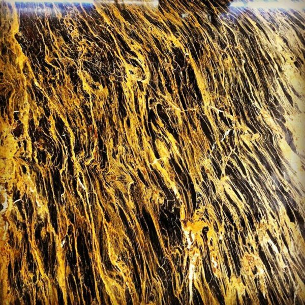 Foto 21.02.18, 14 04 12 (5)